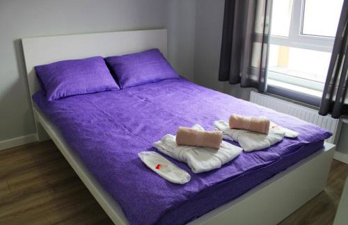 Luxury House with Garden near Chopin Airport - Foto 6