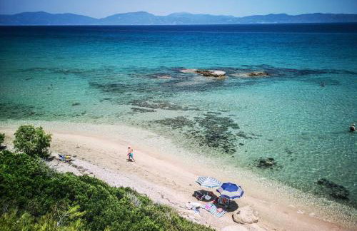 PIOTROWSKI APARTMENTS - Foto 46