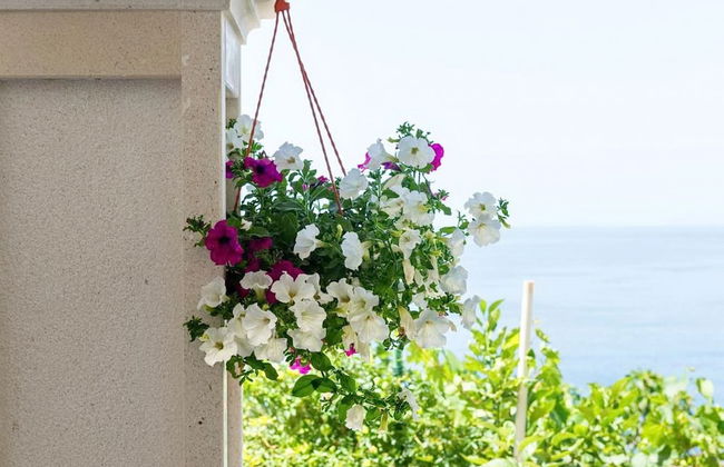 Apartments Villa Bella Vista - Photo 34