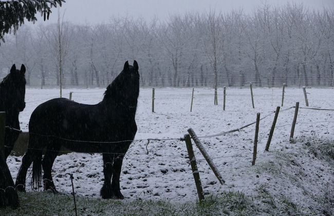 Spacious Apartment near Town Center in Mesch - Photo 61