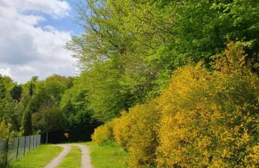 Les mimosas du Lac Vue panoramique sur le lac - Foto 32