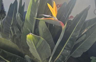 CasaDellAnna - Foto 13