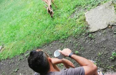 Ferienhof Thele Wohnung OG - Photo 25