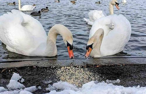 Stylish 2-Bed Cottage in the heart of Yorkshire - Foto 8