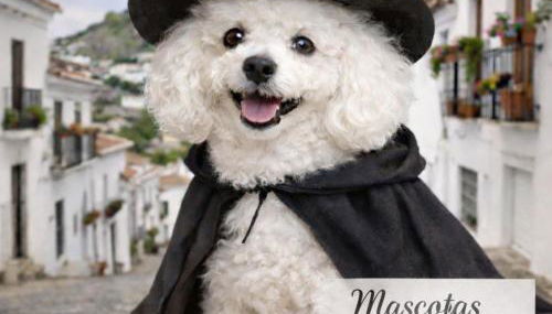 El nido del búho Soportujar Casa con terraza - Foto 3