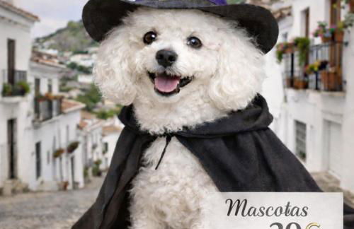 El nido del búho Soportujar Casa con terraza - Foto 3