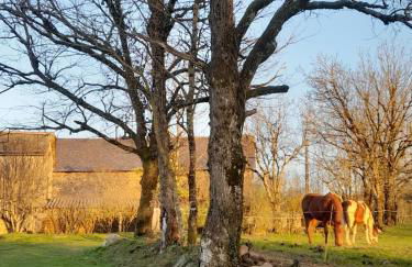 Les Gîtes de Roucayrols - Foto 16