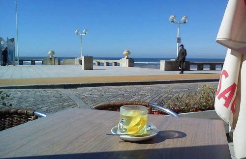 Casinha Nº461 - Foto 53