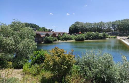 Casina di Tea Lucca - Foto 24