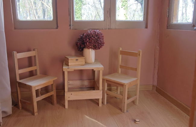 Associação Quinta das Relvas - Foto 22