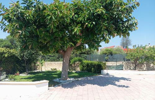 Villa IGMA - Foto 18