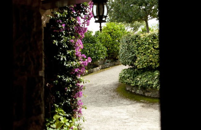 Trisqueles y Buganvillas - Photo 42