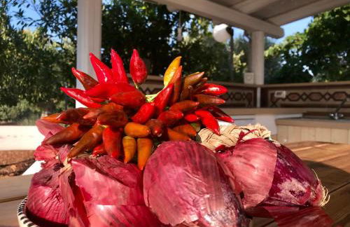 Trulli Storie di Puglia - Private Pool - Foto 69