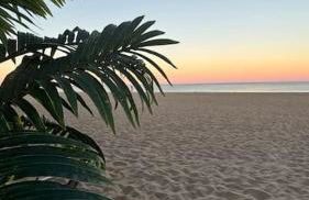 Aloha Studio &SPA en bordure de garrigue - Foto 28