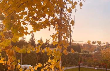 Hatzels Häuschen - Foto 20