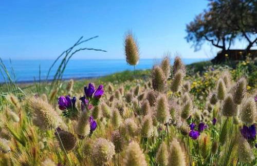 Appartamento a 80m dal mare Salento Puglia - Foto 22