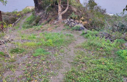 Finca Horizonte Azul - Foto 26