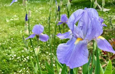 Löwenherz Appartements - Foto 70