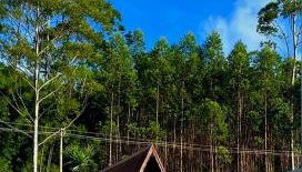 Chalé Romântico Salesópolis - banheira de hidromassagem e condomínio resort - Foto 3, Garden, Garden view