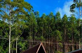 Chalé Romântico Salesópolis - banheira de hidromassagem e condomínio resort - Foto 3