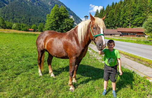 Gröbl-Alm Haus zur schönen Aussicht - Foto 10
