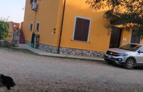 Agriturismo da Remo - Foto 30