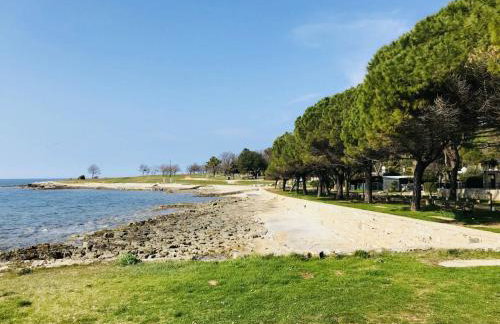 Apartment Lorena B4 by Interhome - Foto 22