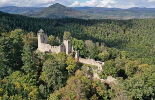 Le p'tit coin de chez nous - Foto 63