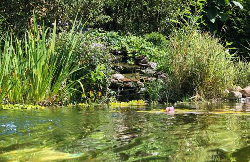 Dom letni Słoneczny Taras - Foto 19