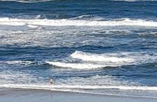 Chale dos Sobreiros - Foto 10