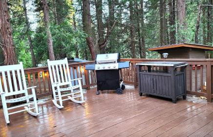 Sequoia Splendor, inside Kings Canyon NP by Visitors Center - Foto 8