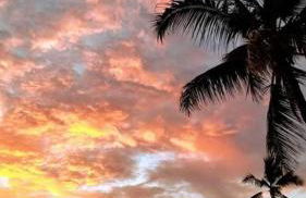 Ohana Beach Retreat at the Surf and Racquet Club - Foto 33