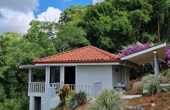 Colinas Tinamastes - Foto 65