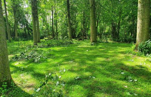 Gîte et chambre d'hôtes en Champagne - Foto 13