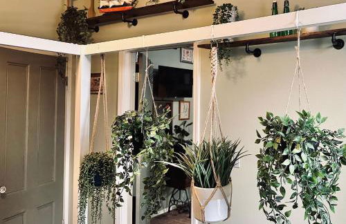 Mr. McGregor’s Garden - Foto 16