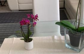 Casa in affitto - Foto 8