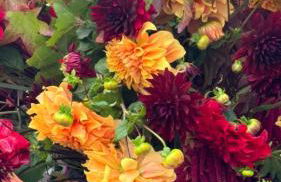 Dreams of Alaric Maison de charme avec piscine aux pieds des Pyrénées Ideal base cyclists exploring legendary climbs - Foto 6