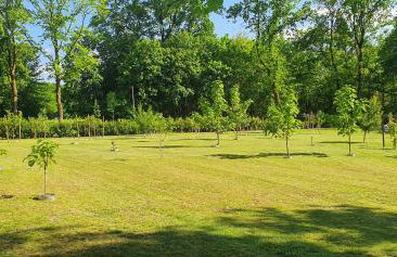 Lüneburger Heide - Ferienwohnung am Höpen - Foto 41
