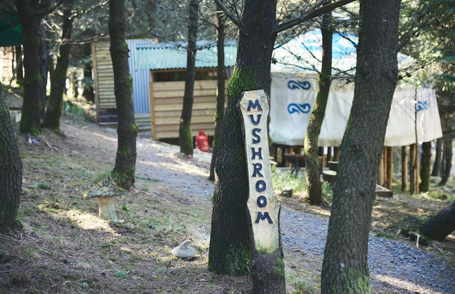 Mushroom Yurt set in 4 Acres of Woodland and Lakes - Foto 30
