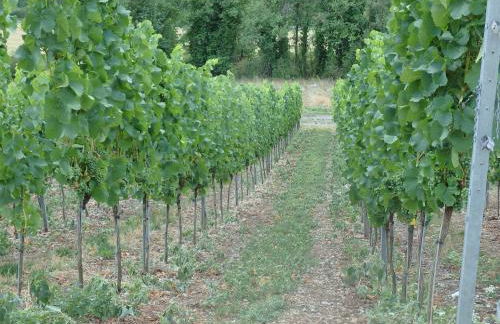 Fewoimdorf - Foto 24