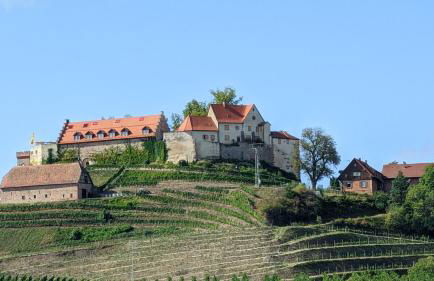 Sauers Schwarzwaldglück - Foto 25