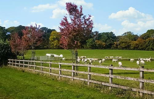 Cottage 2 - Uk46612 - Foto 18