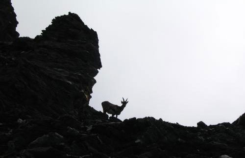 Maison de l'Epine -spa- Versant du soleil - Foto 41