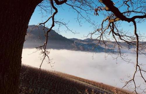 Azuria Black Forest Loft - Photo 25