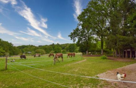 Gite Les Sources - Foto 19