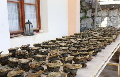 Apartment Brijesta 10223a - Foto 9