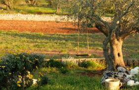 Trullo Natù - private villa - Foto 53