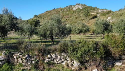 Casa Das Oliveiras - Foto 4