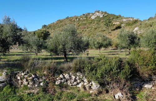 Casa Das Oliveiras - Foto 4