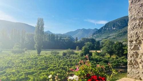 Agriturismo I Melograni - Foto 4